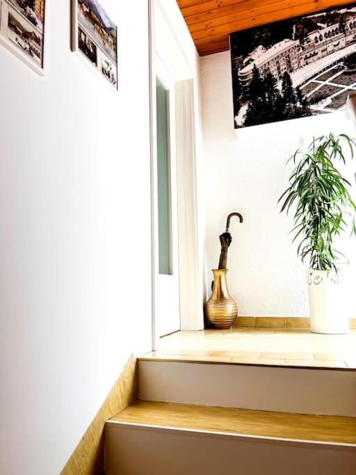 Apartma Kenda 블레드 외부 사진
